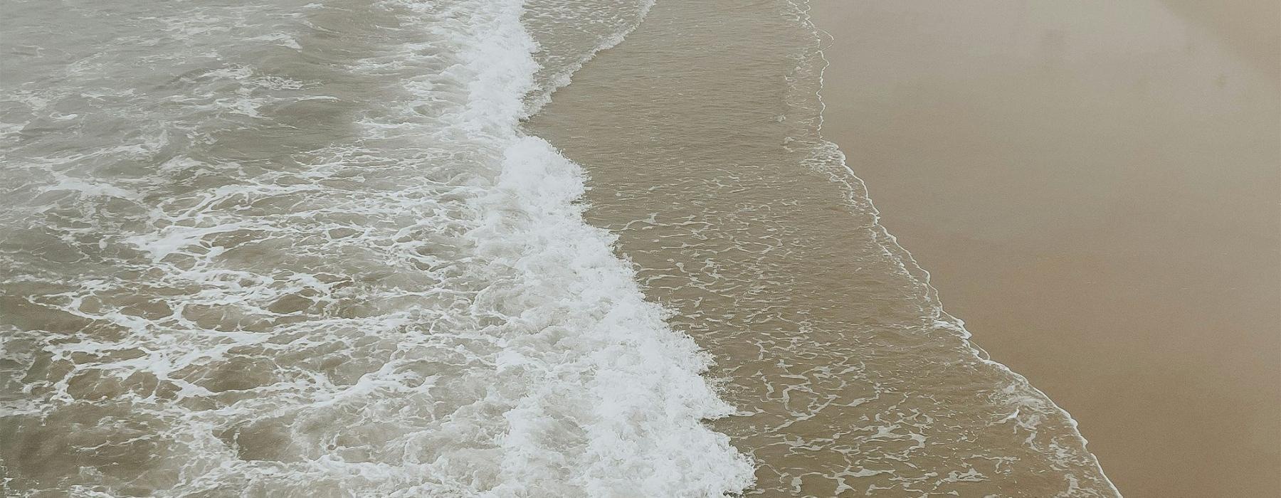 a group of birds flying over a beach